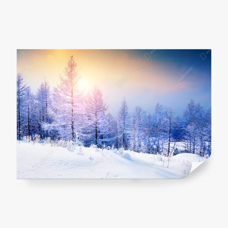 Natur – Wallnifity®