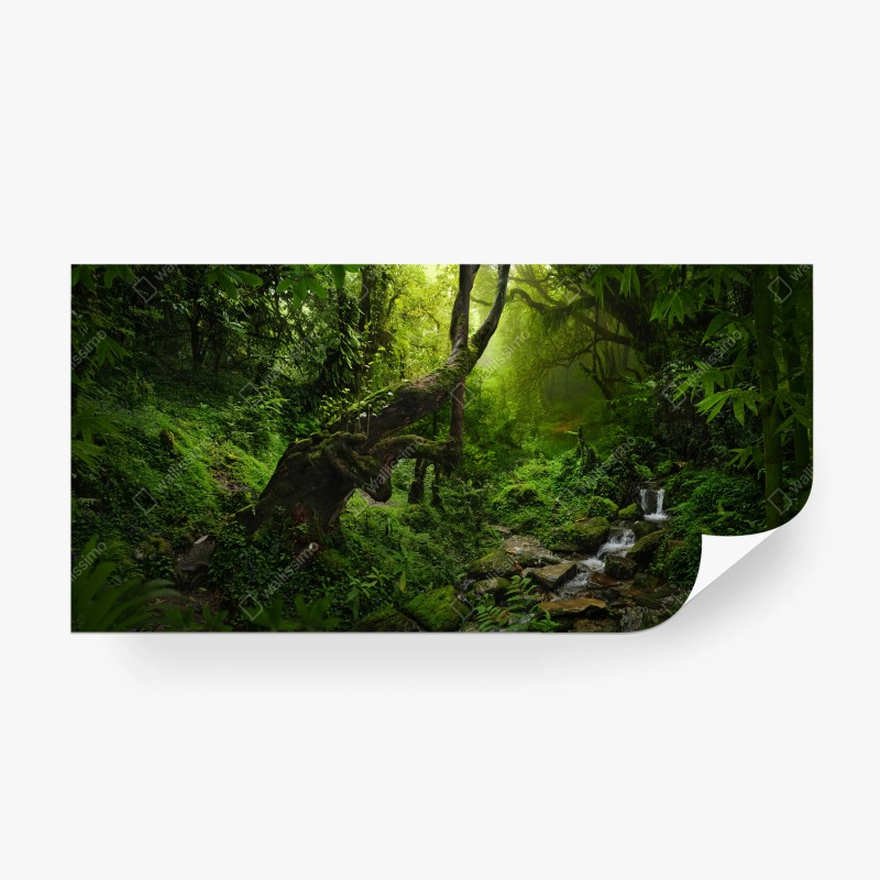 Fototapeten – Wallnifity®