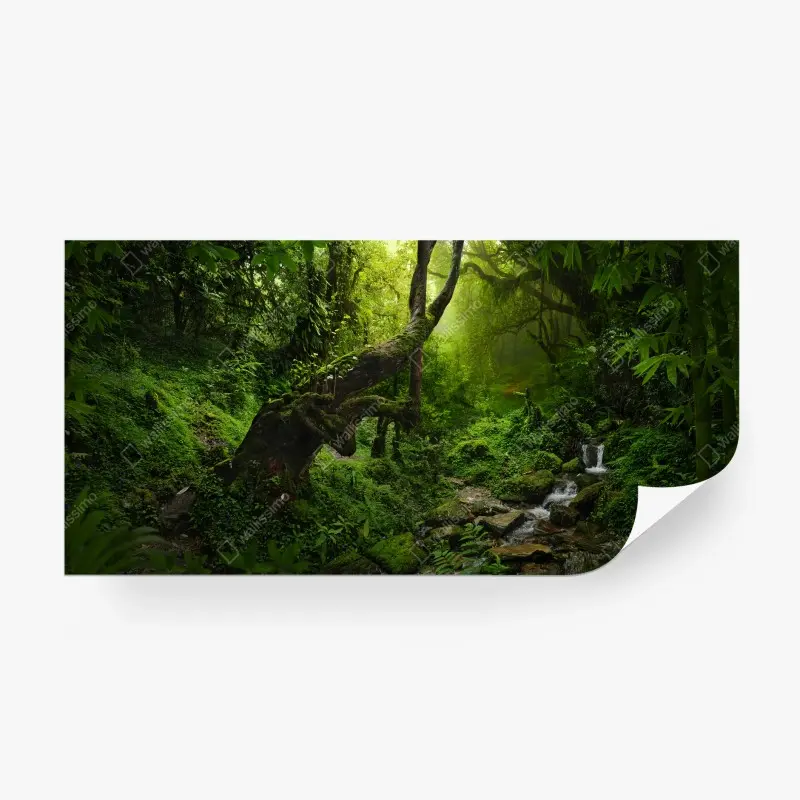 Natur – Wallnifity®