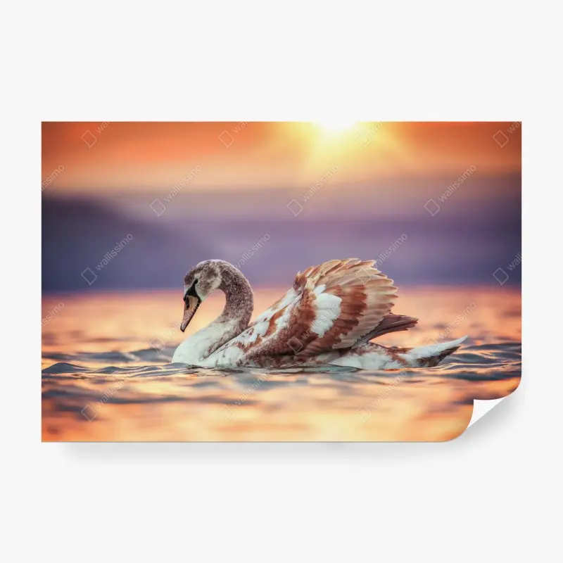 Tiere – Wallnifity®