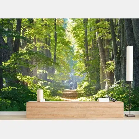 Fototapete sonniger waldweg im grünen – Wallnifity®