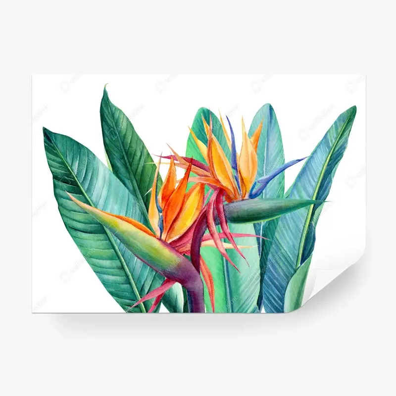 Blumen & Pflanzen – Wallnifity®