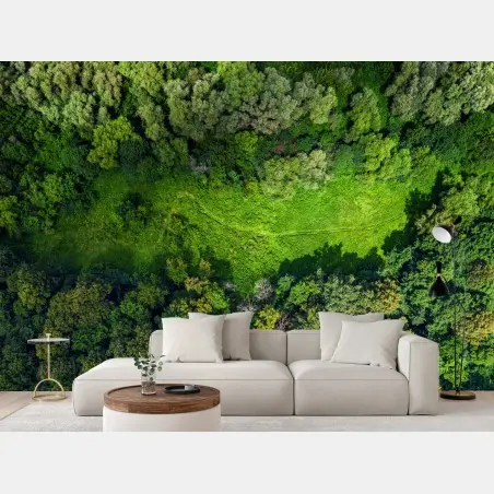 Fototapete luftaufnahme eines waldes mit wiese – Wallnifity®