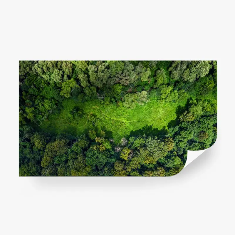 Wälder – Wallnifity®