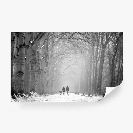 Fototapete nebliger winterwaldweg – Wallnifity®