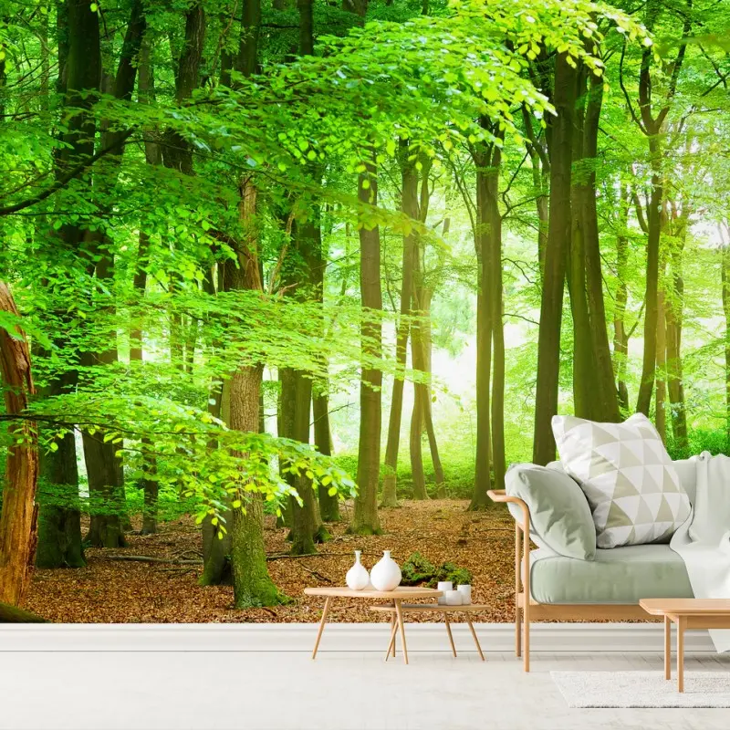 Fototapeten – Wallnifity®