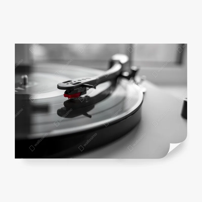 Musik – Wallnifity®