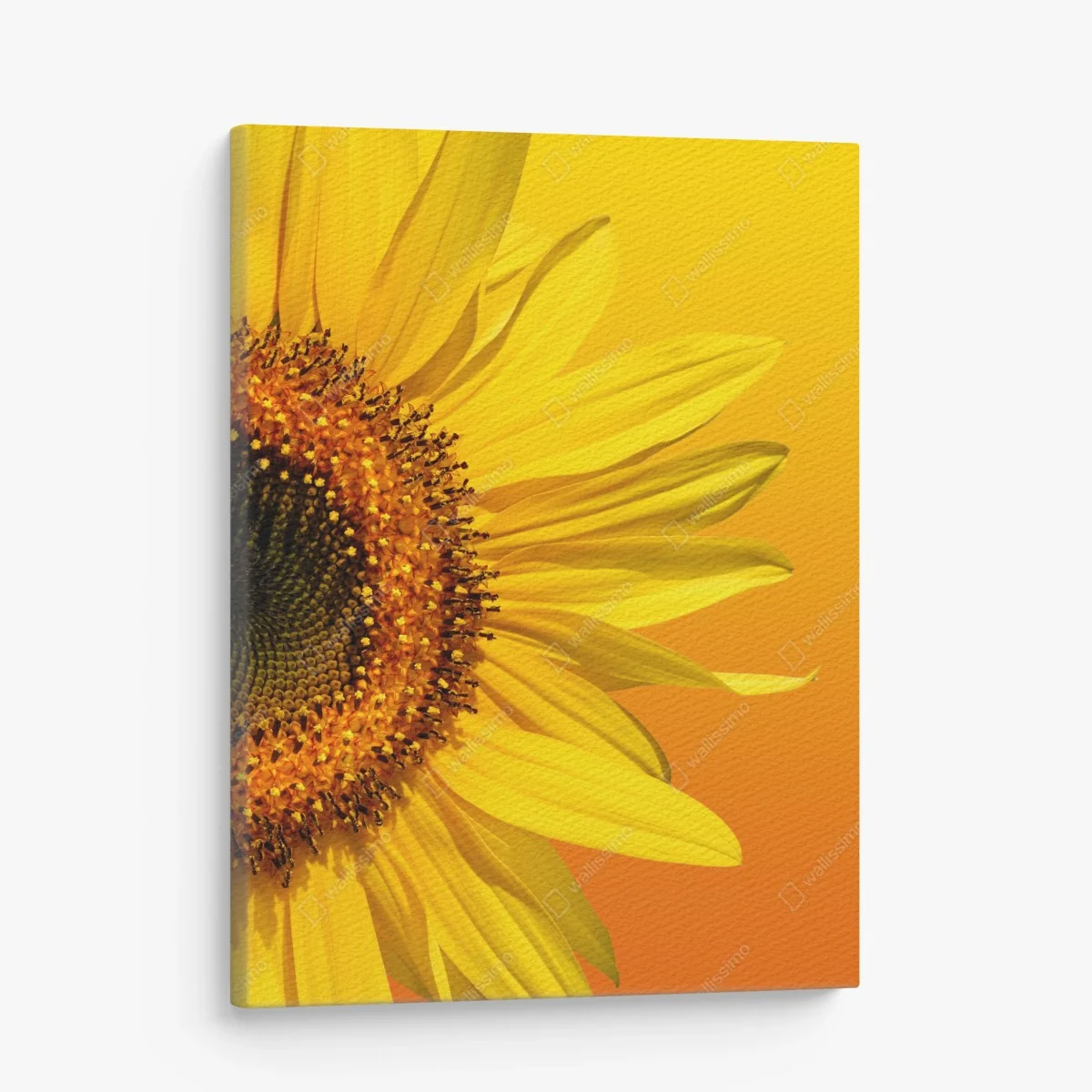 Leinwandbild leuchtende sonnenblume auf gelbem hintergrund – Wallnifity® Leinwandbild leuchtende sonnenblume auf gelbem hintergrund – Wallnifity®