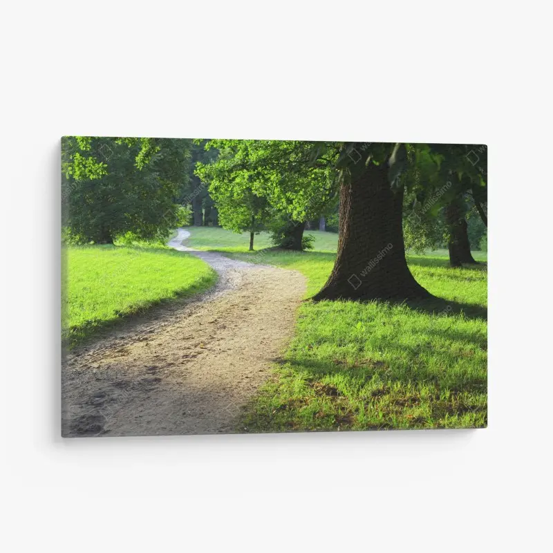 Natur – Wallnifity®
