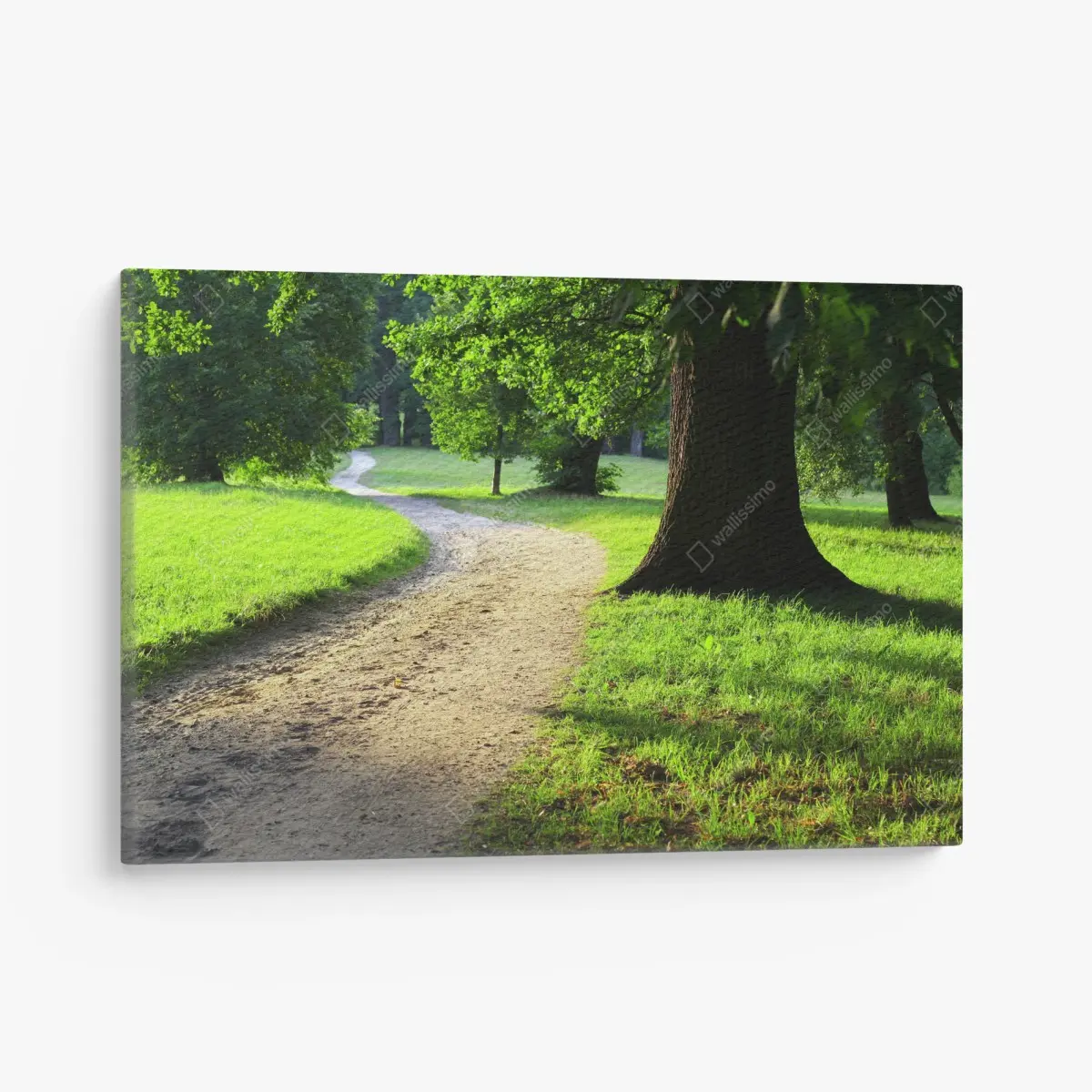 Leinwandbild sonnenbeschienener parkweg durch grüne wiese – Wallnifity®