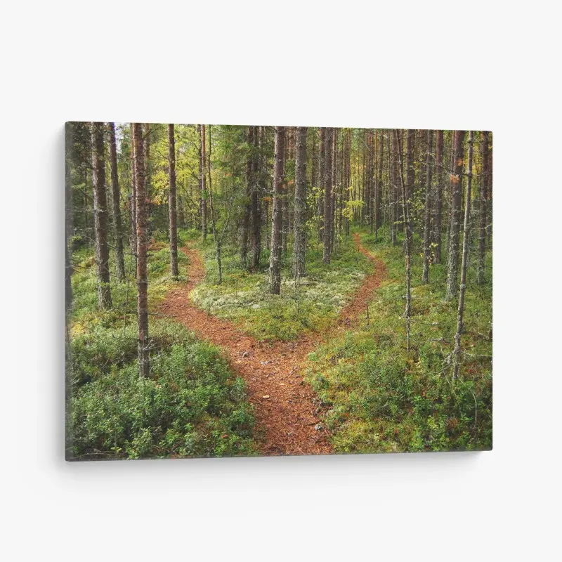Wälder – Wallnifity®