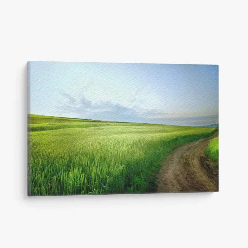 Panoramen – Wallnifity®