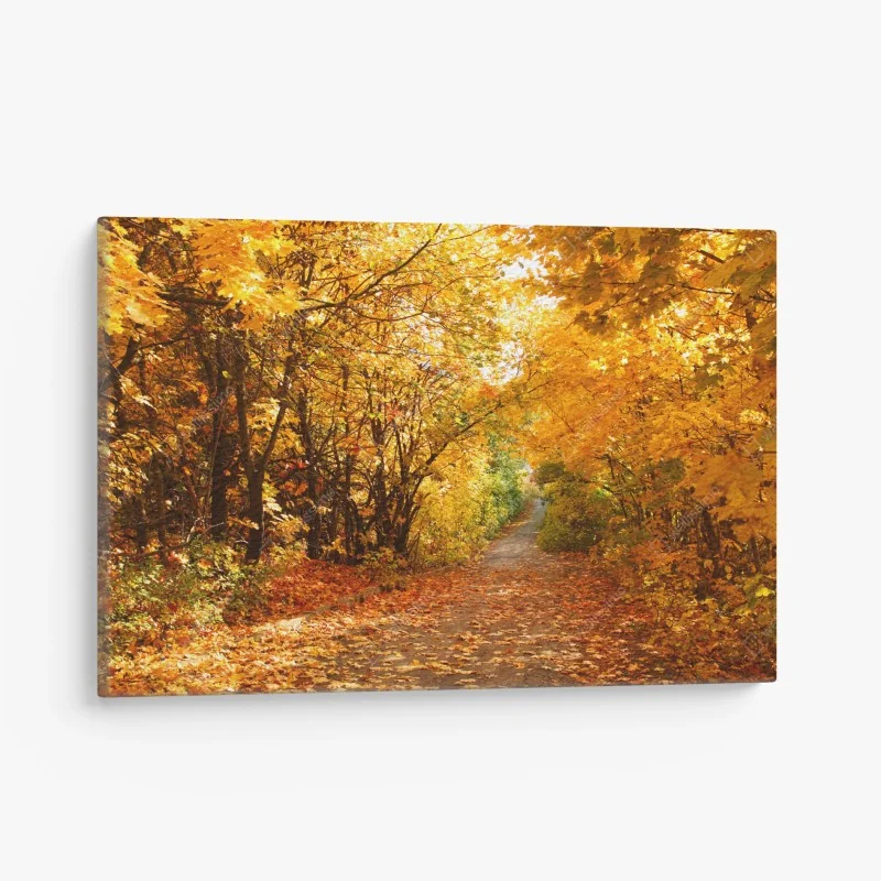 Leinwandbild goldener herbstweg durch die bäume – Wallnifity® Leinwandbild goldener herbstweg durch die bäume – Wallnifity®