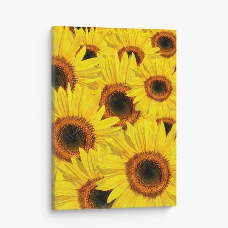 Leinwandbild leuchtende sonnenblumen-collage – Wallnifity®