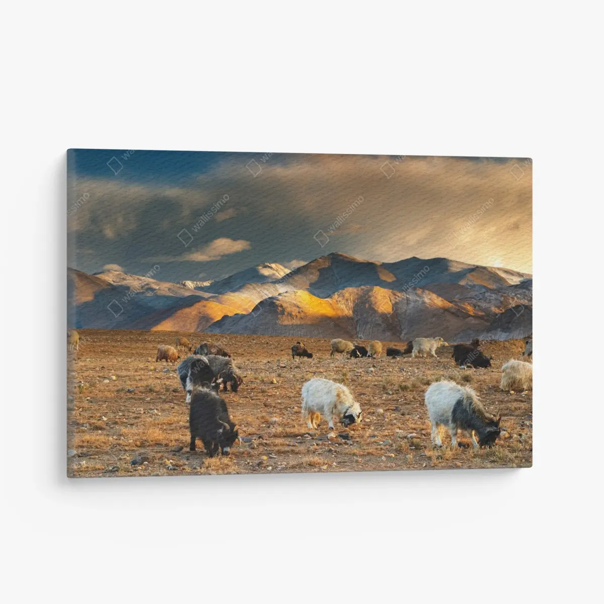 Leinwandbild Tibet: berglandschaft bei sonnenuntergang – Wallnifity®