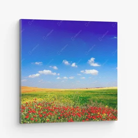Leinwandbild lebhafte mohnwiese unter blauem himmel – Wallnifity®