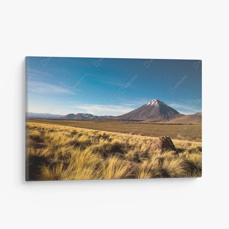 Natur – Wallnifity®
