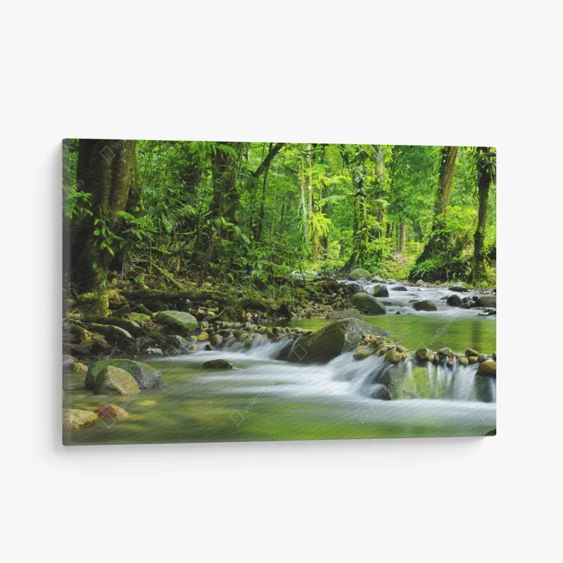 Natur – Wallnifity®