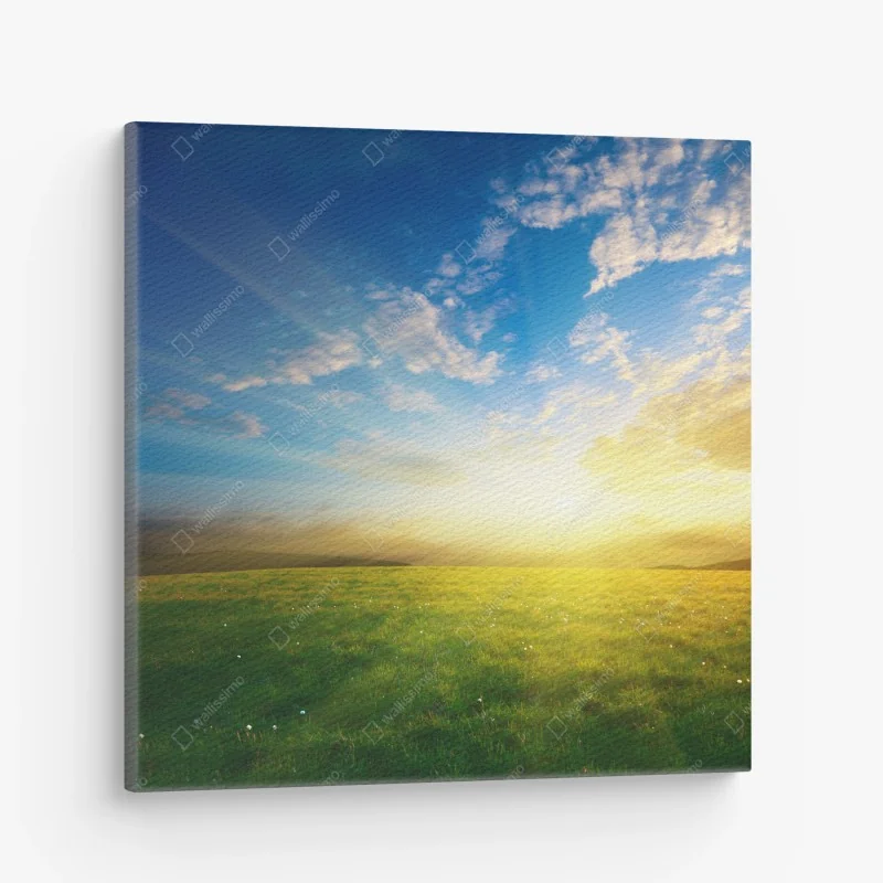 Leinwandbild sonnige wiese im morgenlicht – Wallnifity® Leinwandbild sonnige wiese im morgenlicht – Wallnifity®