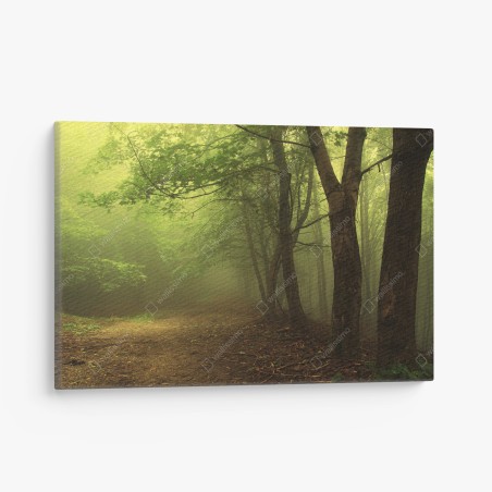 Leinwandbild nebliger waldweg im grünen – Wallnifity®