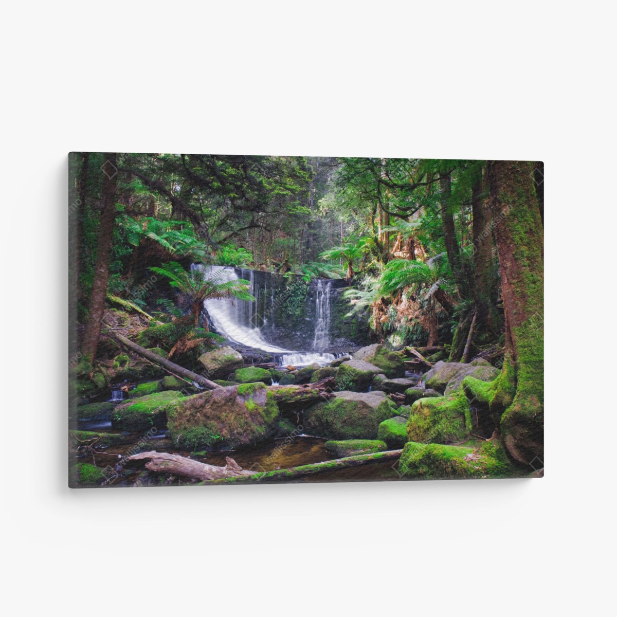 Leinwandbild moosbedeckter wasserfall im üppigen wald – Wallnifity®