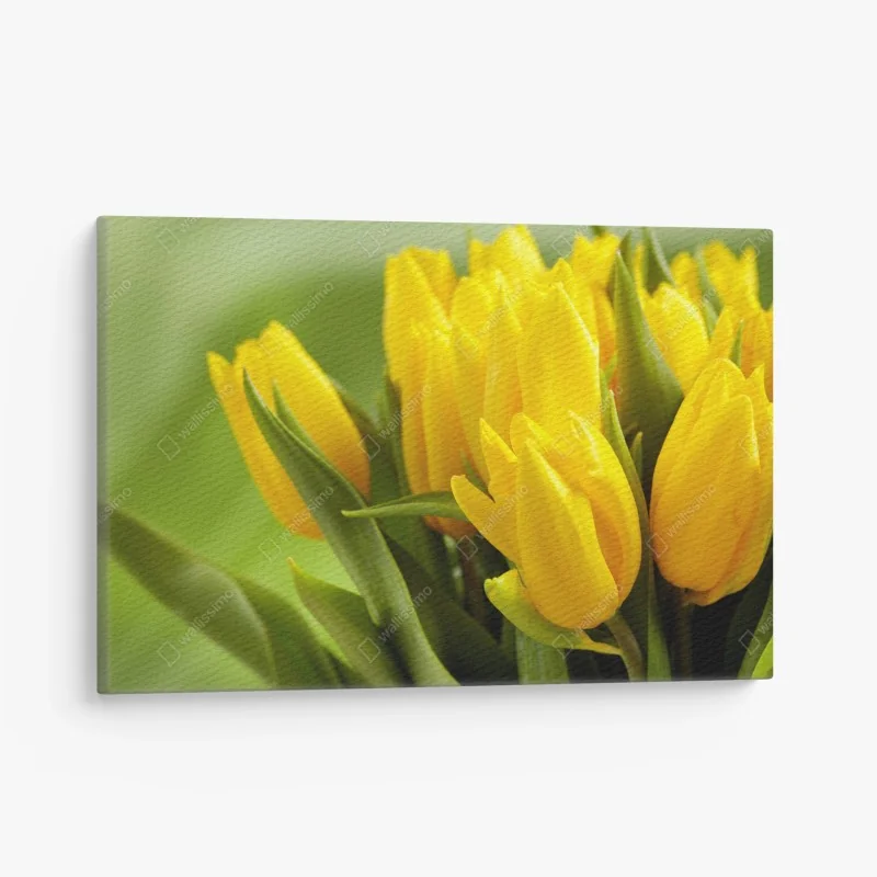 Leinwandbild leuchtender strauß gelber tulpen – Wallnifity® Leinwandbild leuchtender strauß gelber tulpen – Wallnifity®