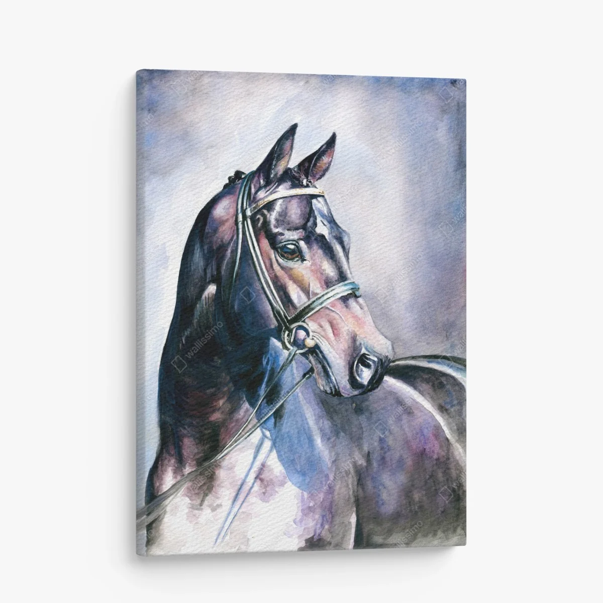 Leinwandbild majestätisches pferd-aquarellporträt – Wallnifity® Leinwandbild majestätisches pferd-aquarellporträt – Wallnifity®
