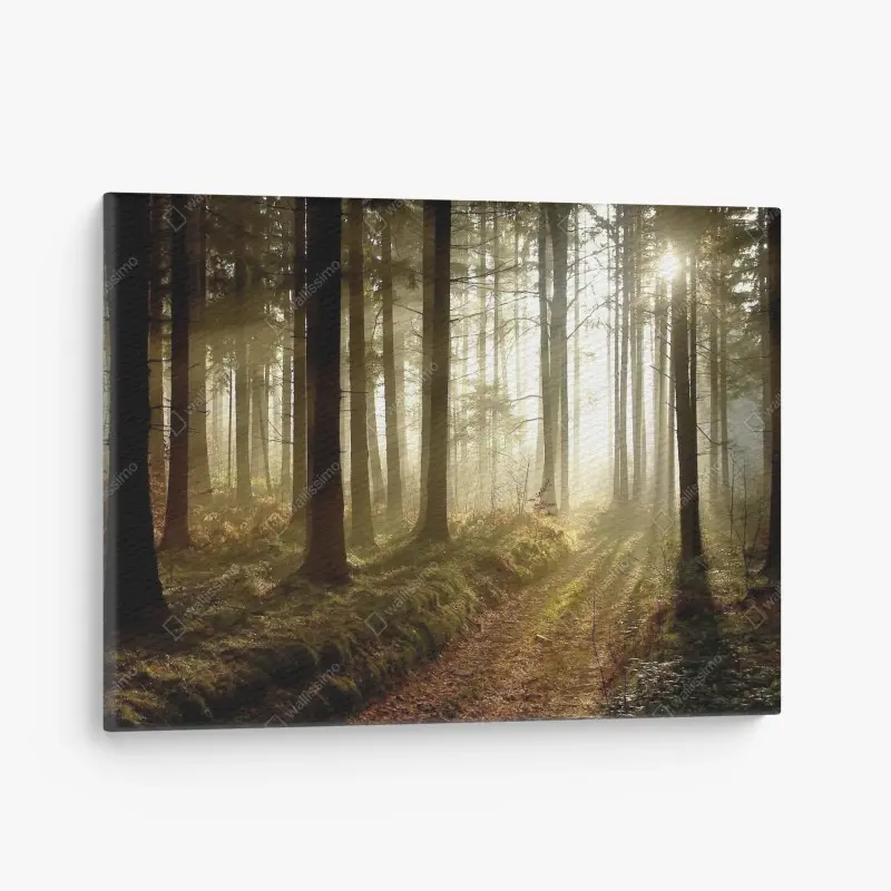Leinwandbilder – Wallnifity®