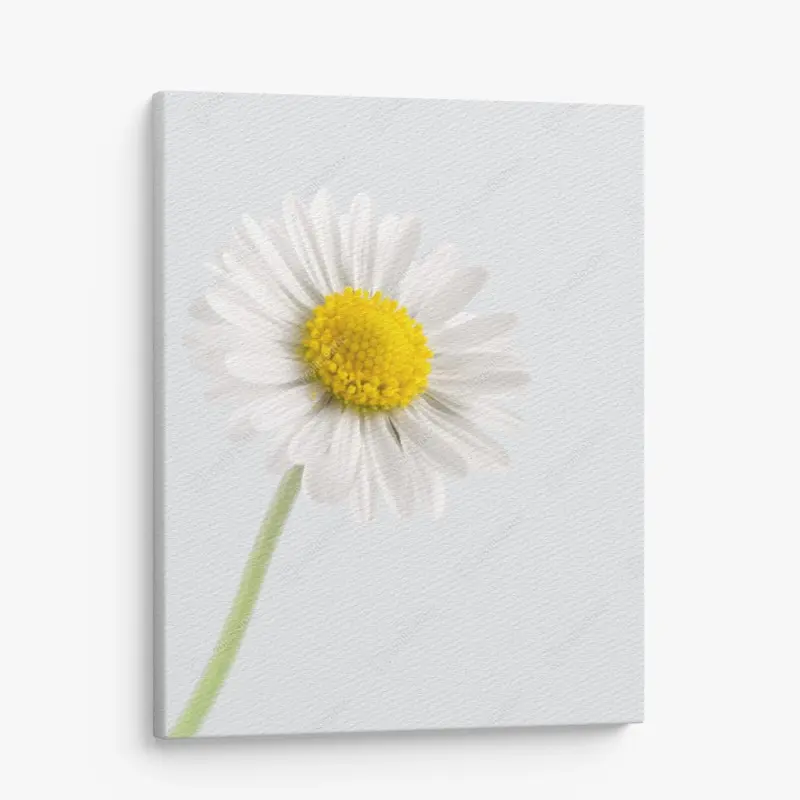 Minimalistisch – Wallnifity®