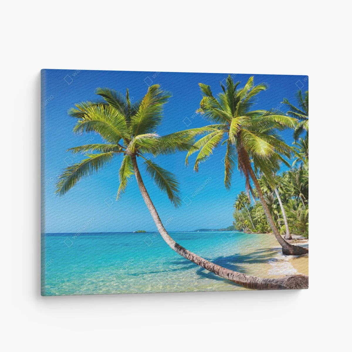 Leinwandbild tropische palmen auf Kood Island – Wallnifity® Leinwandbild tropische palmen auf Kood Island – Wallnifity®