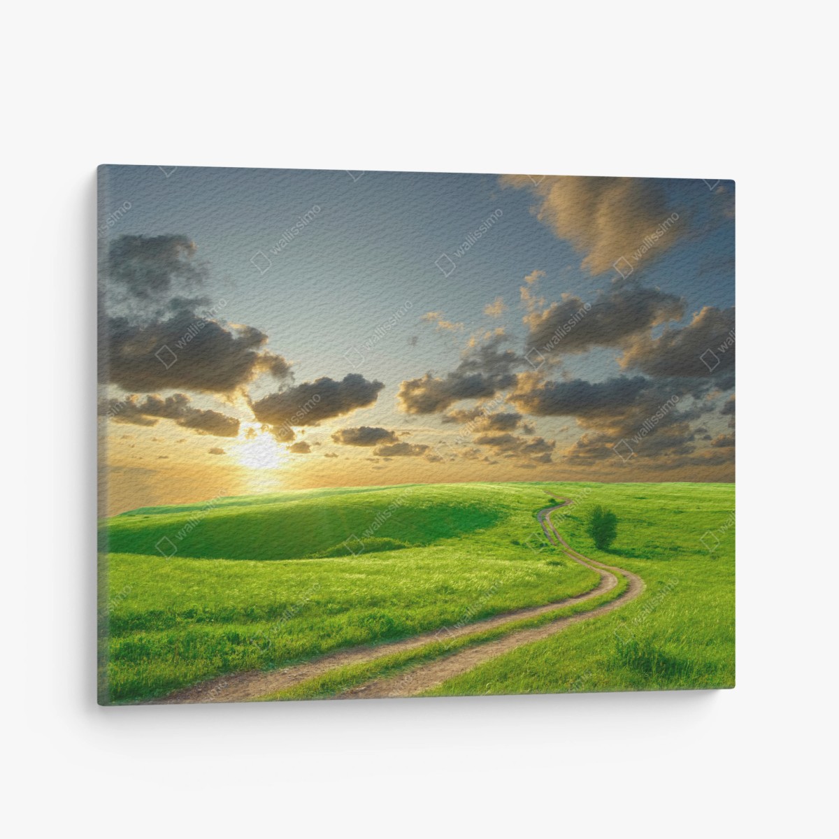 Leinwandbild sonnenuntergang über geschwungener grüner wiese – Wallnifity®