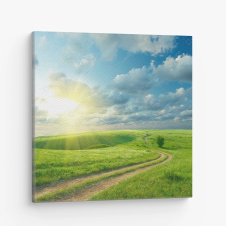Leinwandbild sonnige sommerwiese mit geschwungenem weg – Wallnifity®