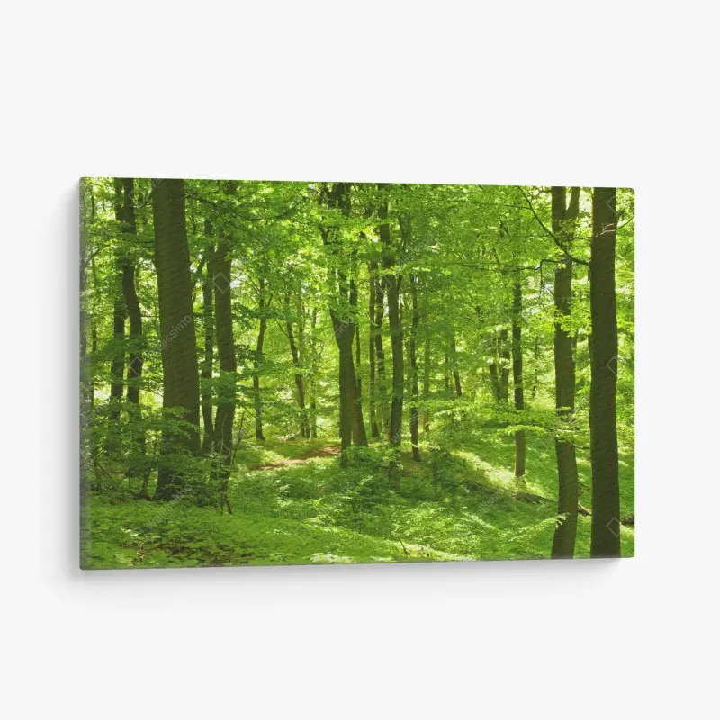 Natur – Wallnifity®