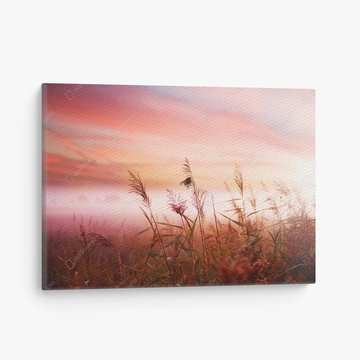 Leinwandbild neblige wiese im morgenlicht – Wallnifity®