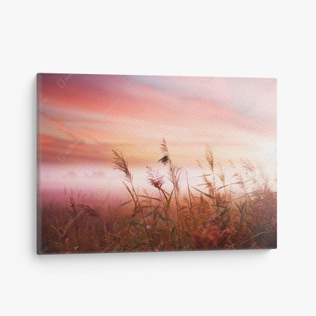 Leinwandbild neblige wiese im morgenlicht – Wallnifity®