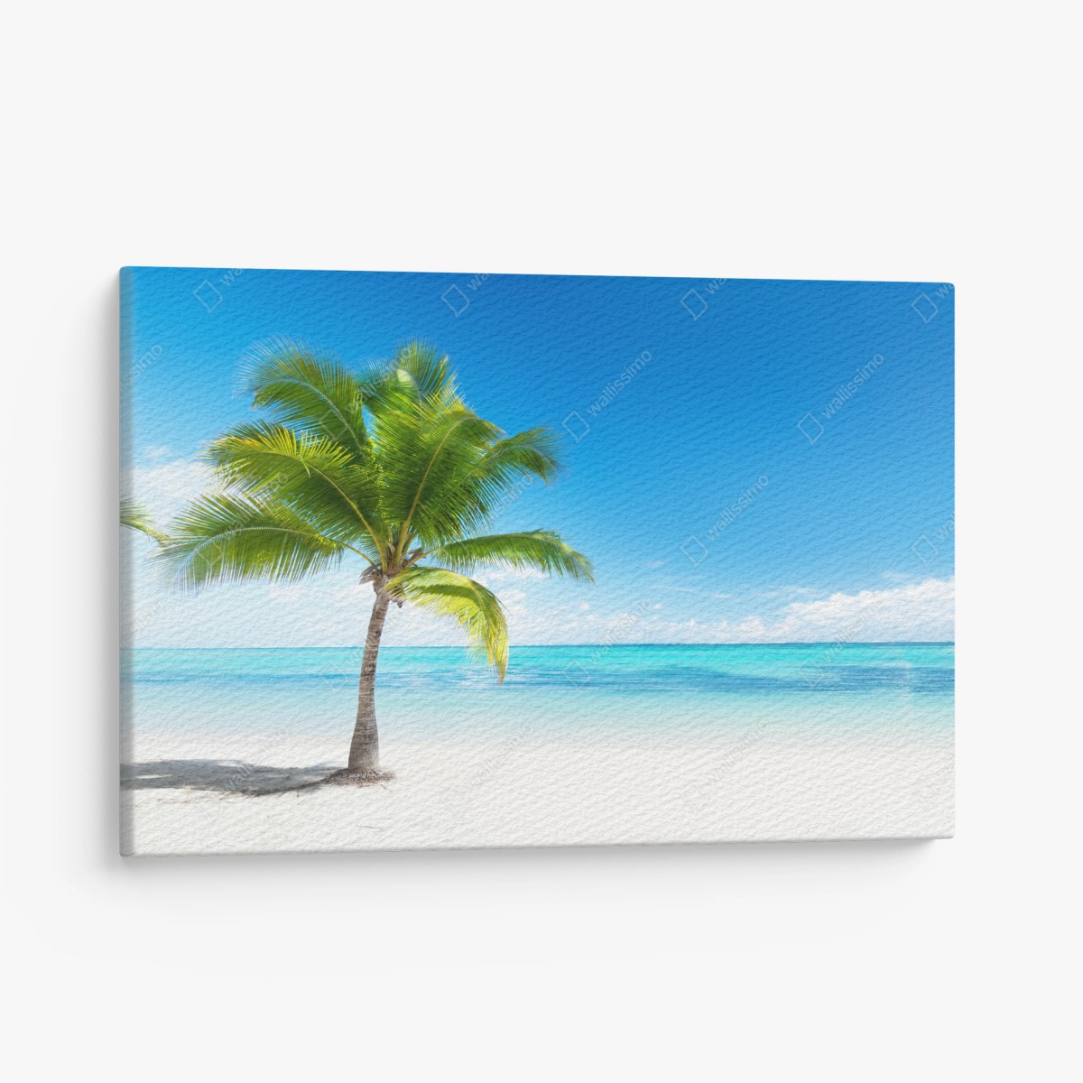 Leinwandbild tropische palme am ruhigen strand – Wallnifity® Leinwandbild tropische palme am ruhigen strand – Wallnifity®