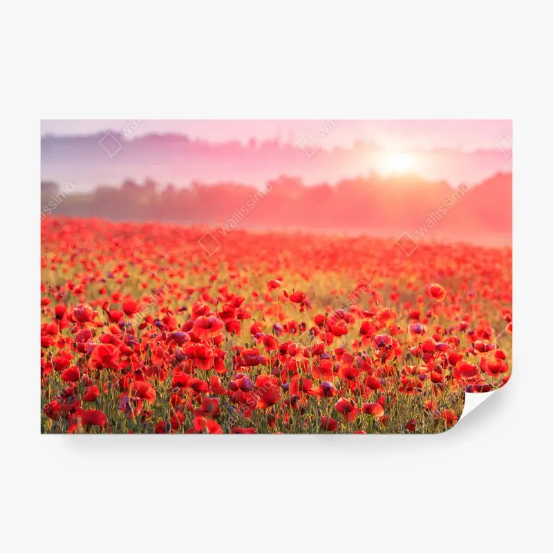 Blumen & Pflanzen – Wallnifity®