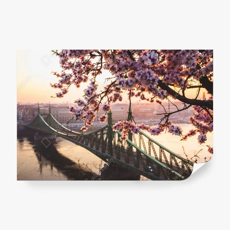 Blumen & Pflanzen – Wallnifity®