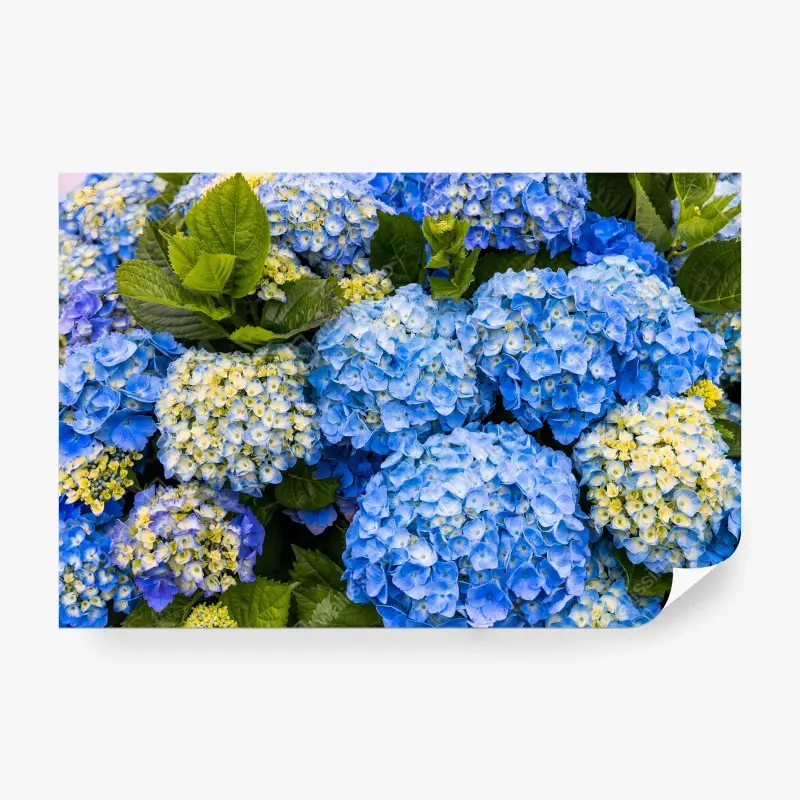 Blumen & Pflanzen – Wallnifity®