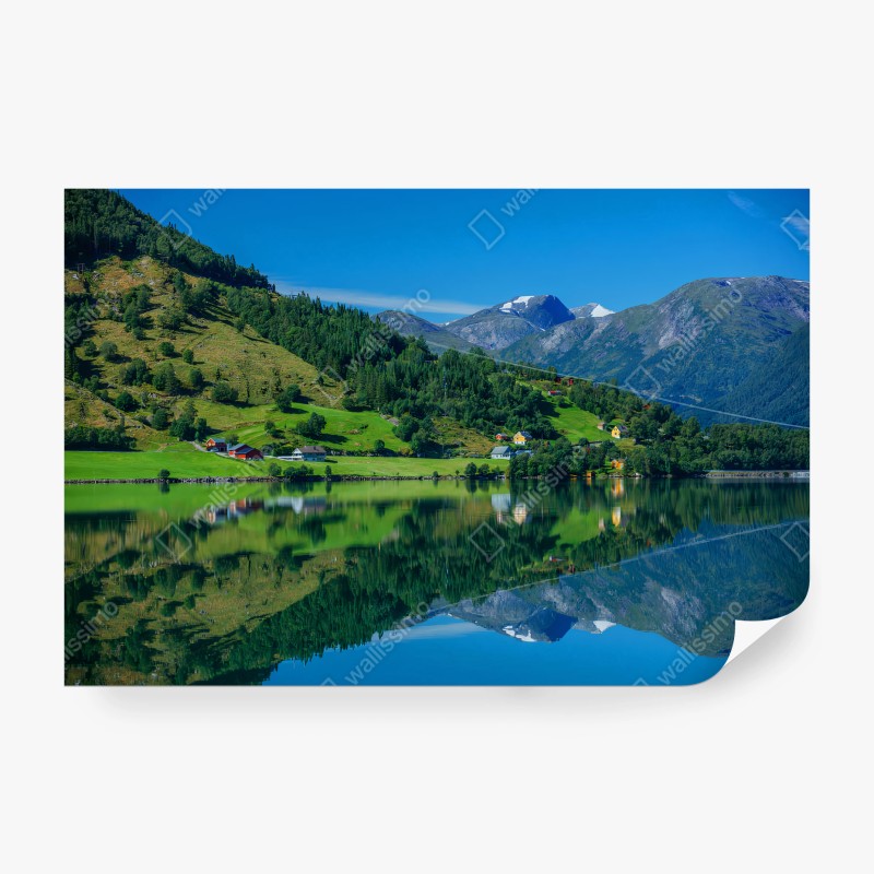 Fototapeten – Wallnifity®