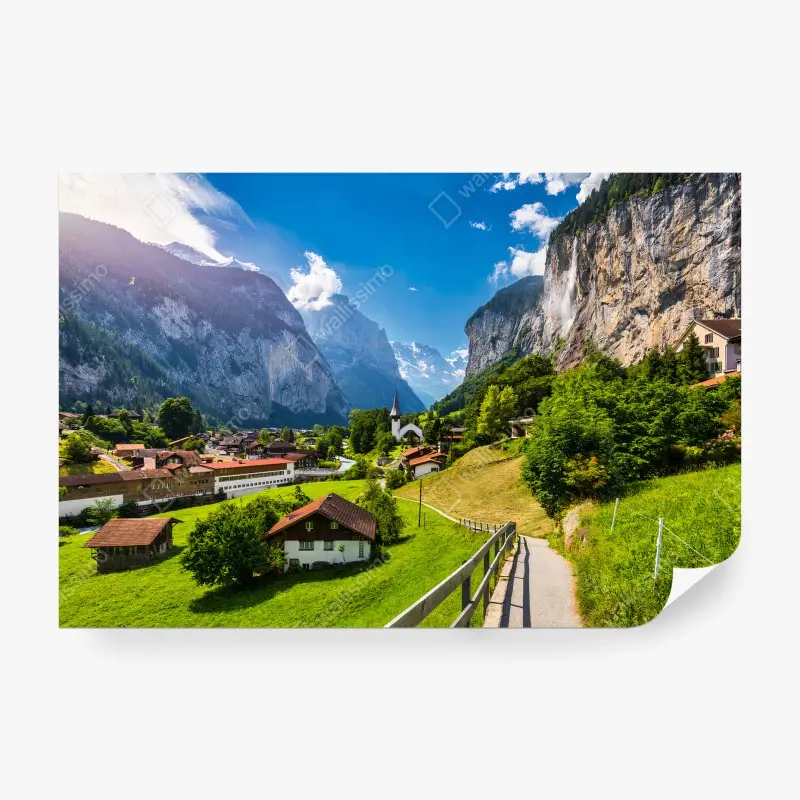 Biophil – Wallnifity®