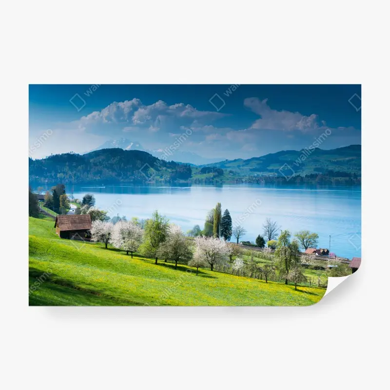 Biophil – Wallnifity®