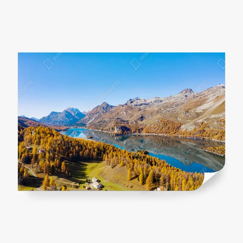 Biophil – Wallnifity®