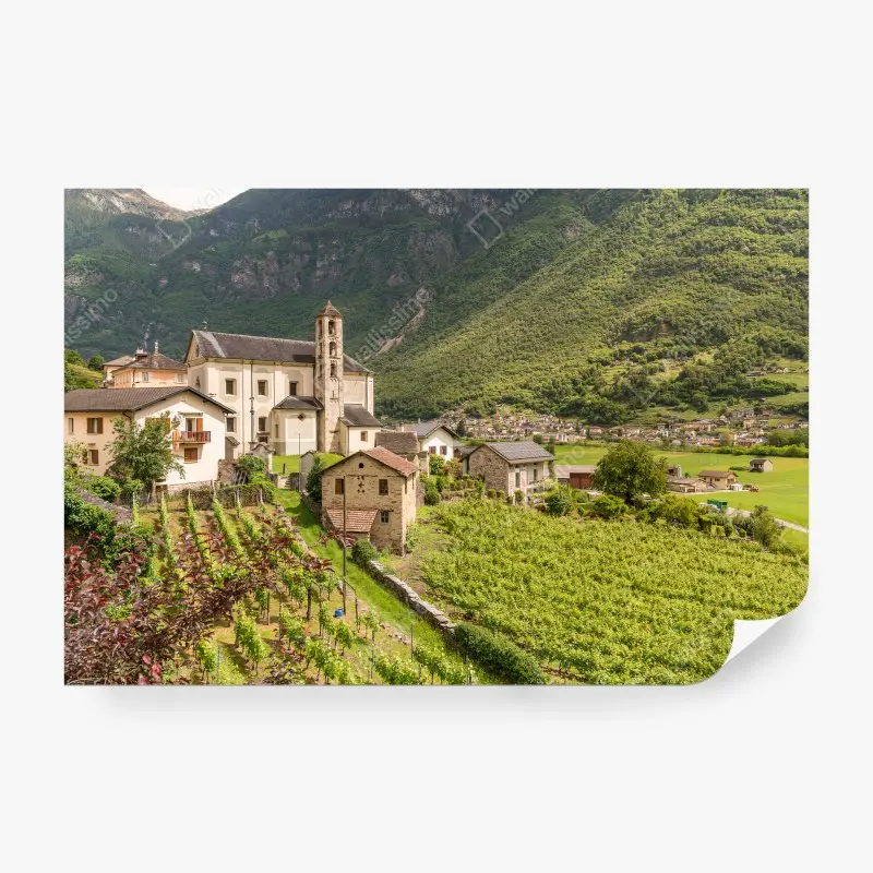 Biophil – Wallnifity®