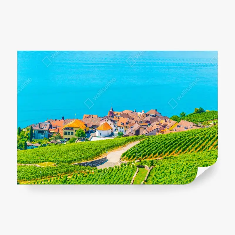 Biophil – Wallnifity®