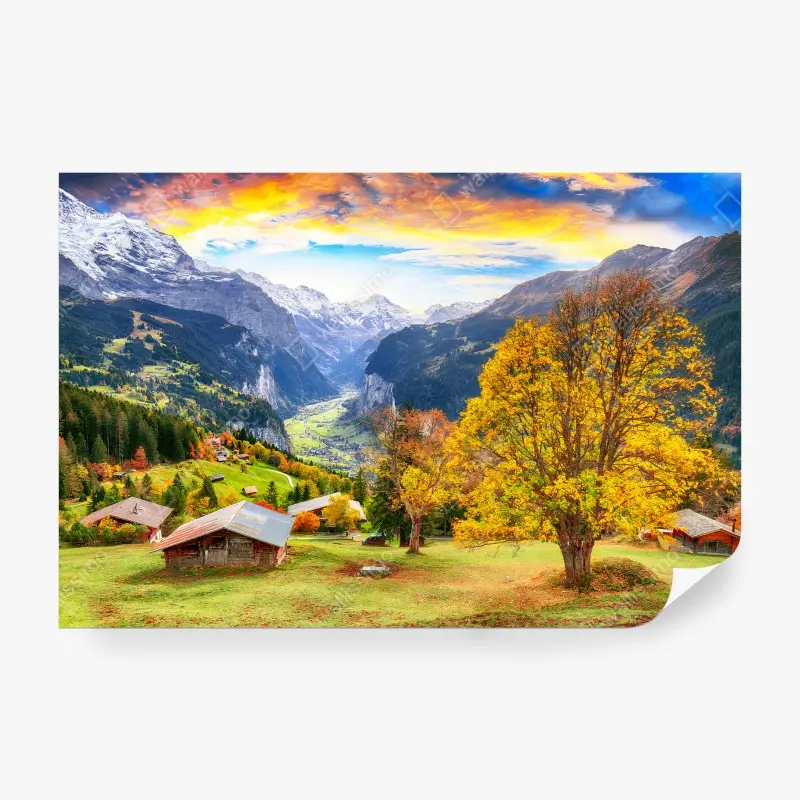 Biophil – Wallnifity®