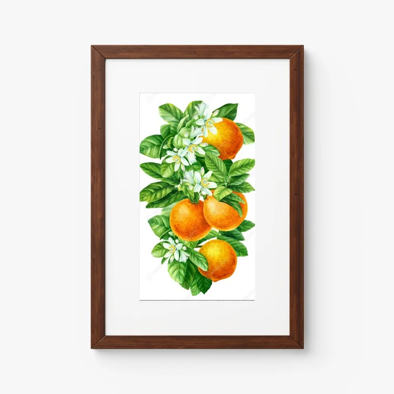 Poster zitrusblüten und reife orangen – Wallnifity® Poster zitrusblüten und reife orangen – Wallnifity®