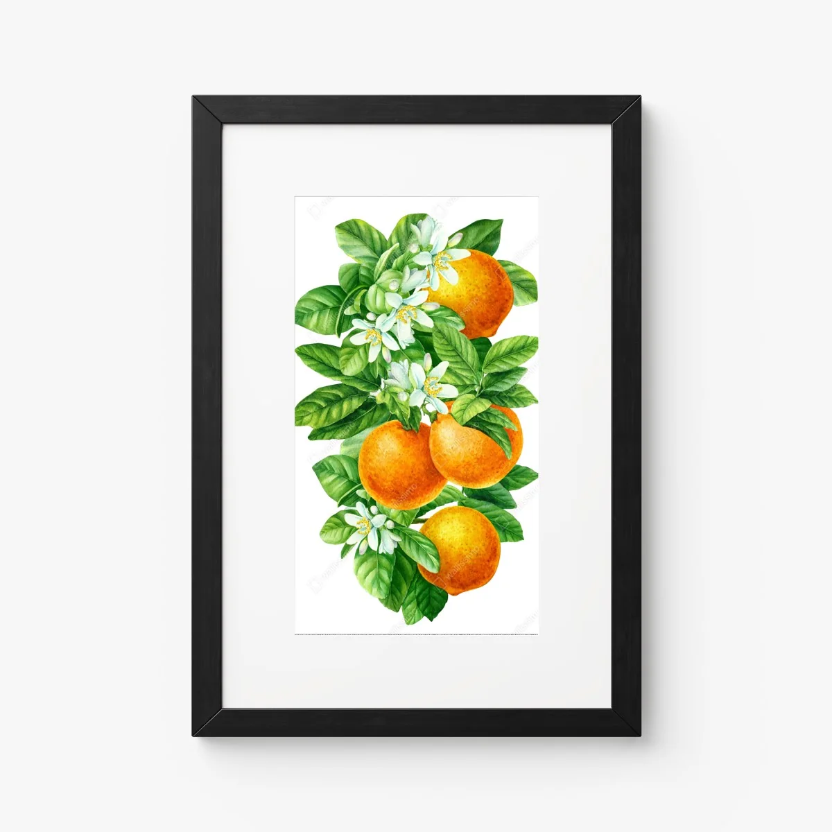 Poster zitrusblüten und reife orangen – Wallnifity® Poster zitrusblüten und reife orangen – Wallnifity®