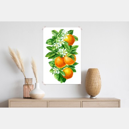 Poster zitrusblüten und reife orangen – Wallnifity®