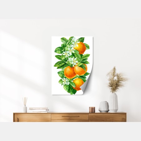 Poster zitrusblüten und reife orangen – Wallnifity®